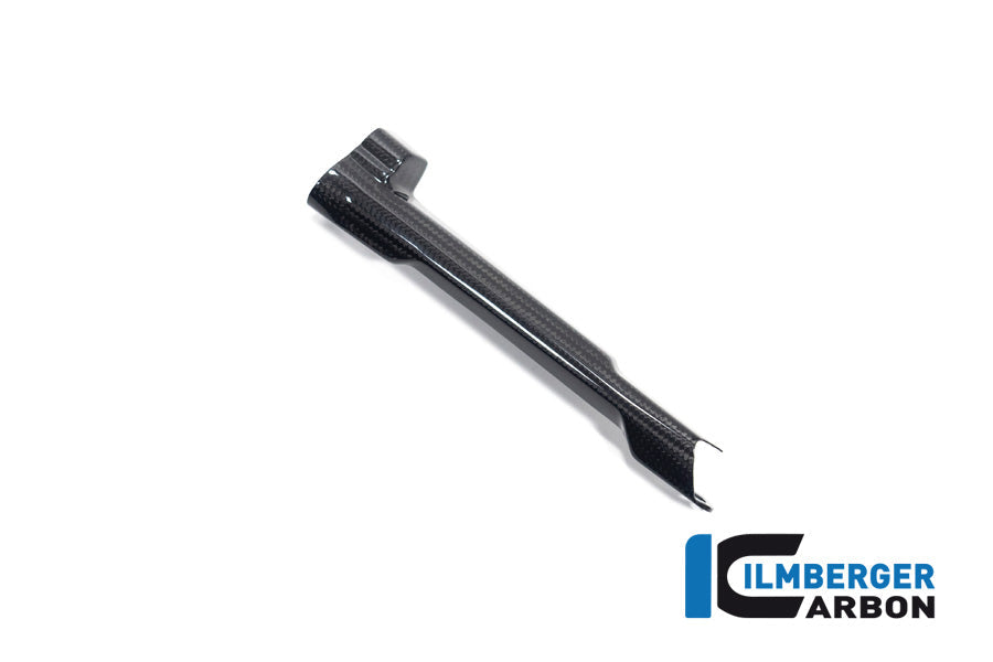 Remleiding cover glanzend carbon BMW R1300RS Triple Black (2025+)
