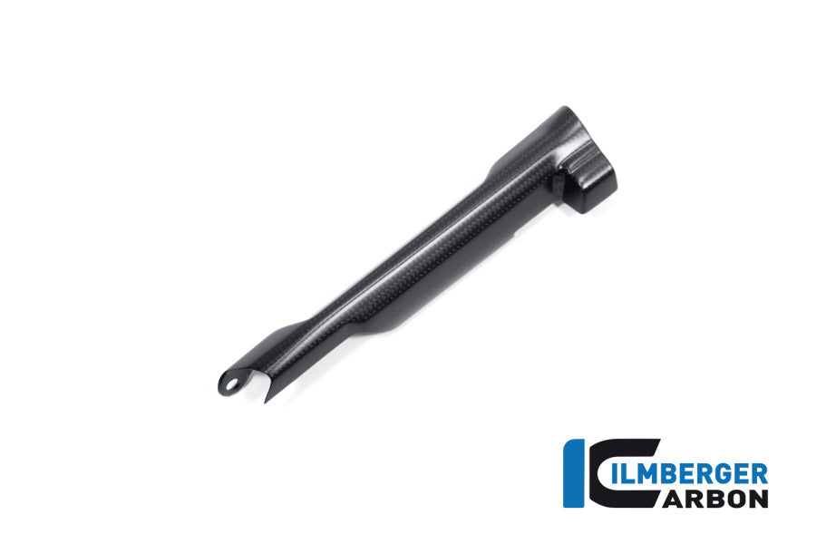 Remleiding cover mat carbon BMW R1300R Exclusive (2025+)