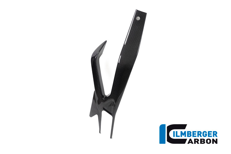 Achterbrug beschermer links glanzend carbon BMW M 1000 R (2025+)