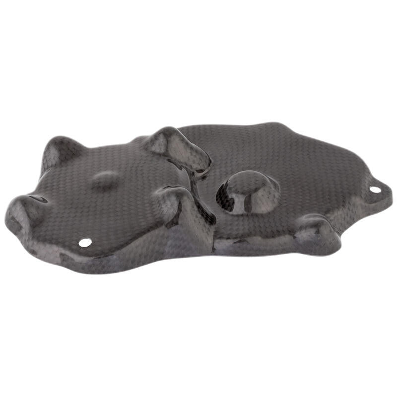 Lightech carbon pick-up cover (glanzend) Kawasaki ZX636 (2024+)