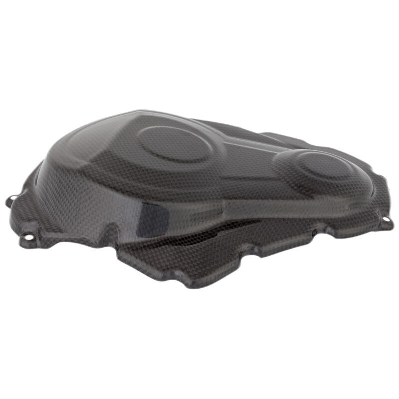 Lightech carbon motorblok beschermer (glanzend) Suzuki GSX-R 1000 (2009-2016)