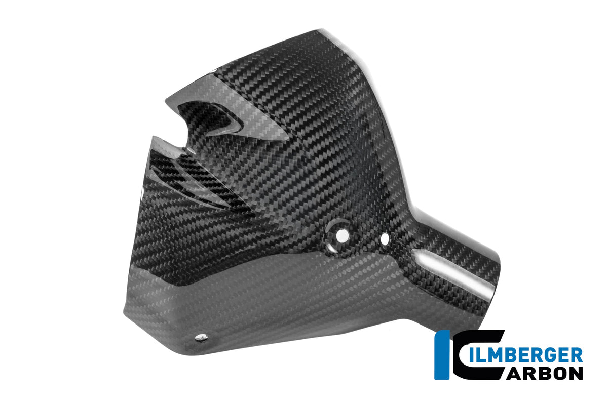 Uitlaat hitteschildset carbon hoogglans BMW R1300RS Option 719 Cuyamaca (2025+)