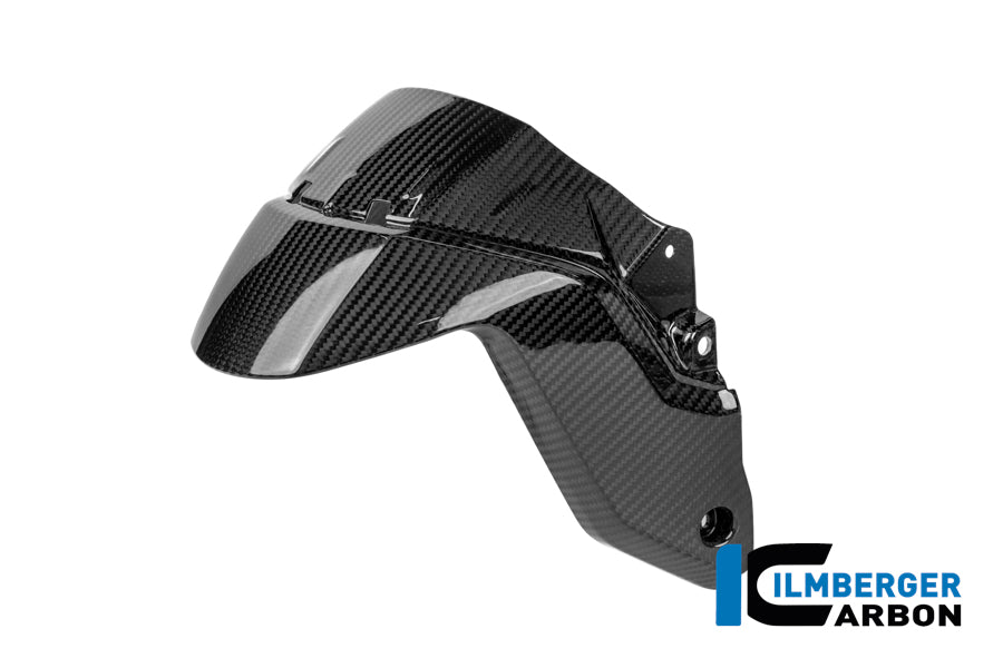 Voorspatbord carbon hoogglans BMW R1300RS (2025+)