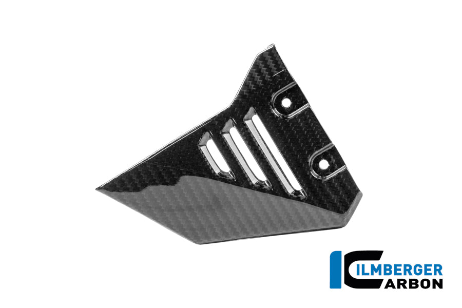 Frame driehoek-cover links voorste deel glanzend carbon BMW R1300GS Adventure Option 719 Karakorum (2024+)