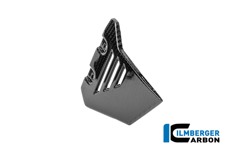 Frame driehoek-cover rechts voorste deel glanzend carbon BMW R1300GS Adventure Trophy (2024+)