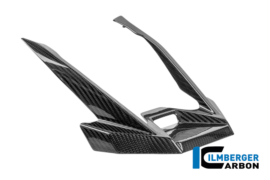 Voorspatbord 'Snavel' verlenging glanzend carbon BMW R1300GS Adventure Option 719 Karakorum (2024+)