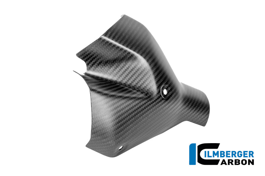 Uitlaat hitteschildset carbon mat BMW R1300RS Triple Black (2025+)