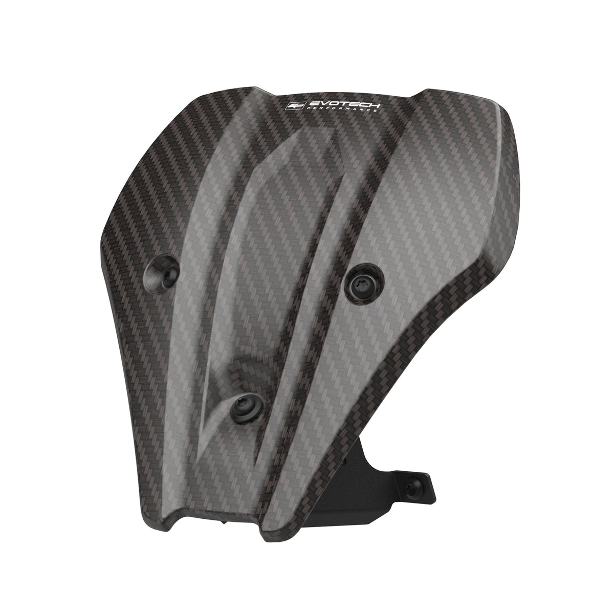 Windscherm Flyscreen Evotech - BMW F 900 R (2025+) (Carbon Fibre)