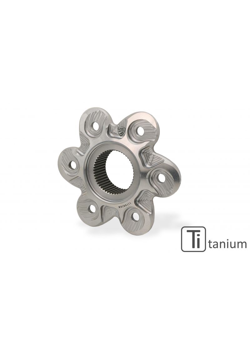 Achtertandwieldrager Titanium Ducati Streetfighter V4 S (2020-2022)