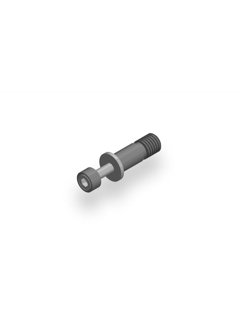 Adapter voor Rem- of Koppelingshendel Beschermer BMW S 1000 RR Street (2017-2018)