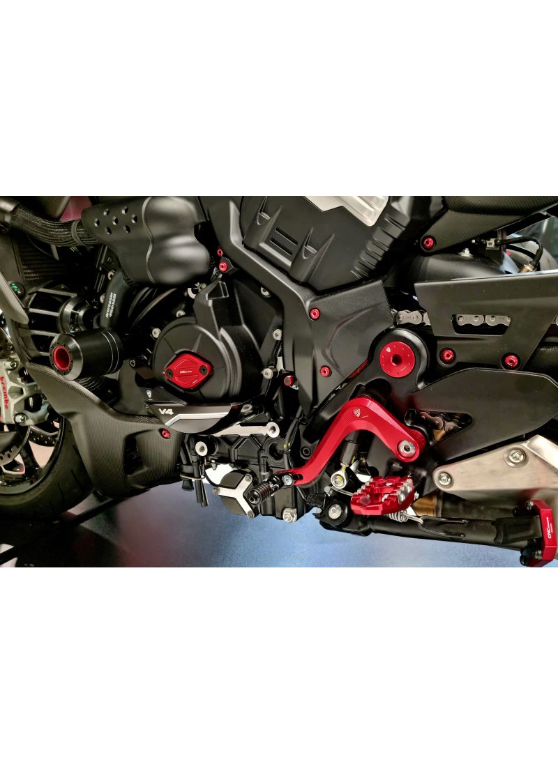 Generator Crank Case Protector - Ducati Diavel V4 2023+