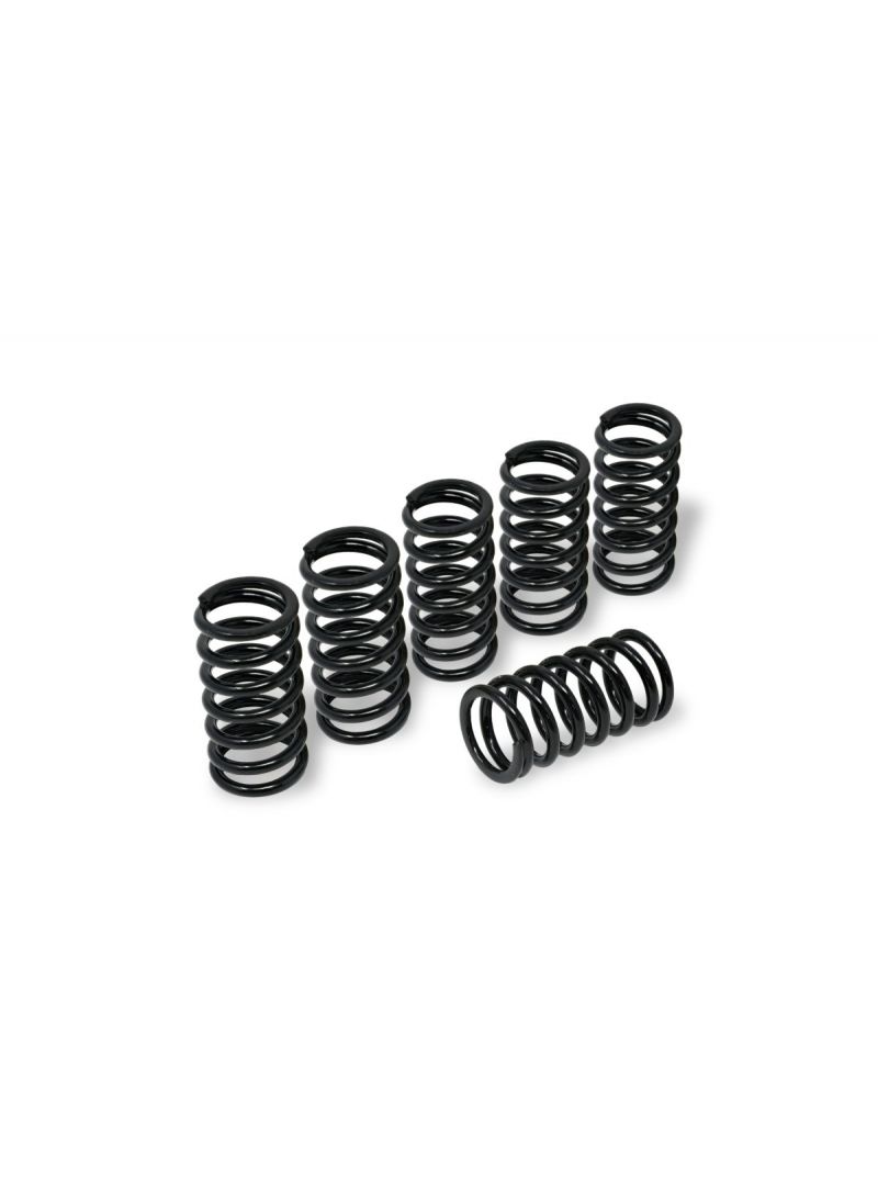 Verenset 38mm (6 st.) voor droge koppeling Ducati Supersport 900 (1991-1997)