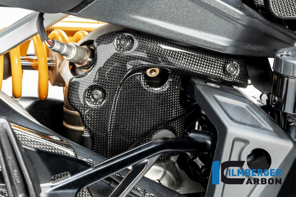 Exhaustprotection on the manifold gloss Ducati Diavel 1260 Carbon (2011-2018)