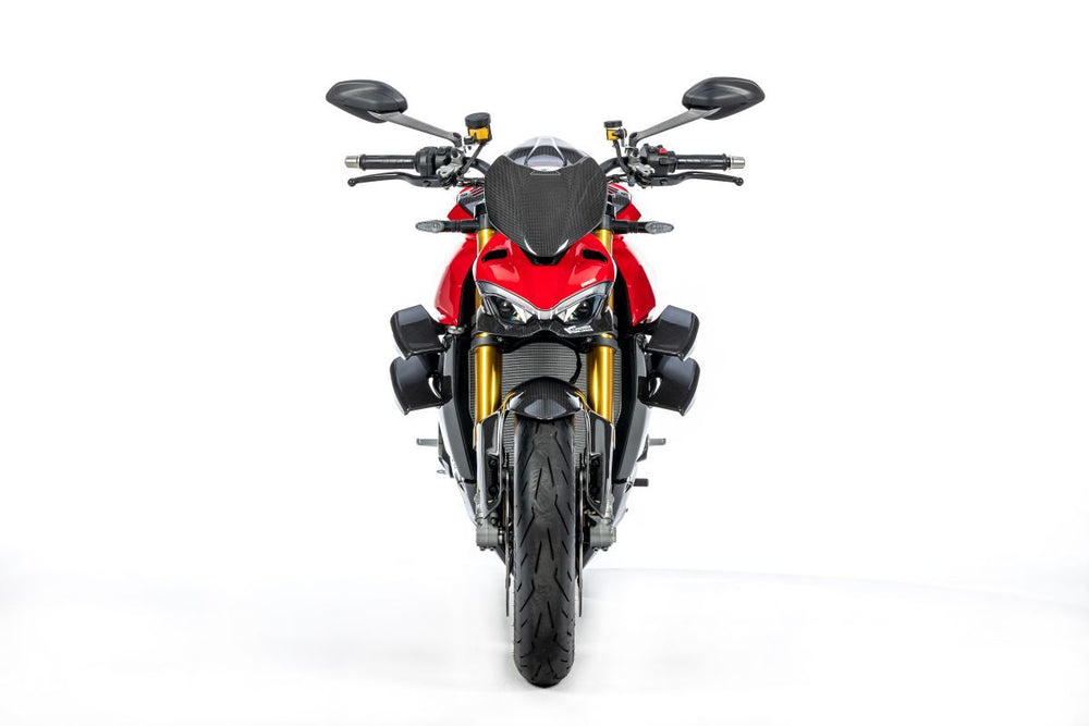 
                  
                    Windshield Glossy Carbon Ducati Streetfighter V4S (2020-2022)
                  
                