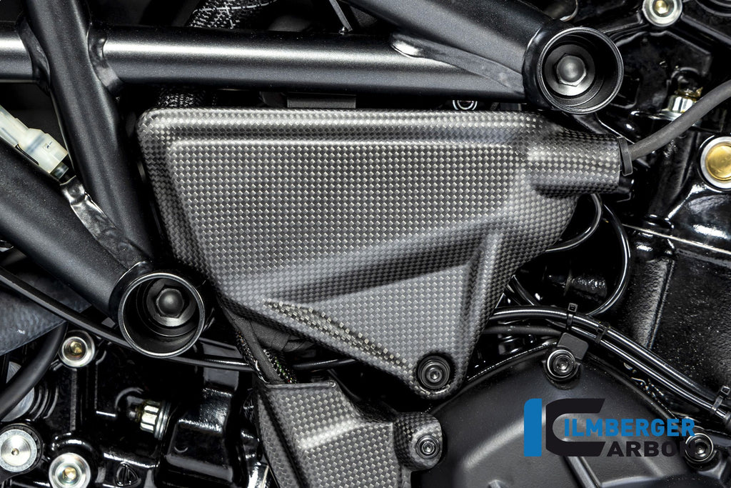 Deckung unter dem Rahmen links Matt Ducati Diavel 1260S (2019-2022)