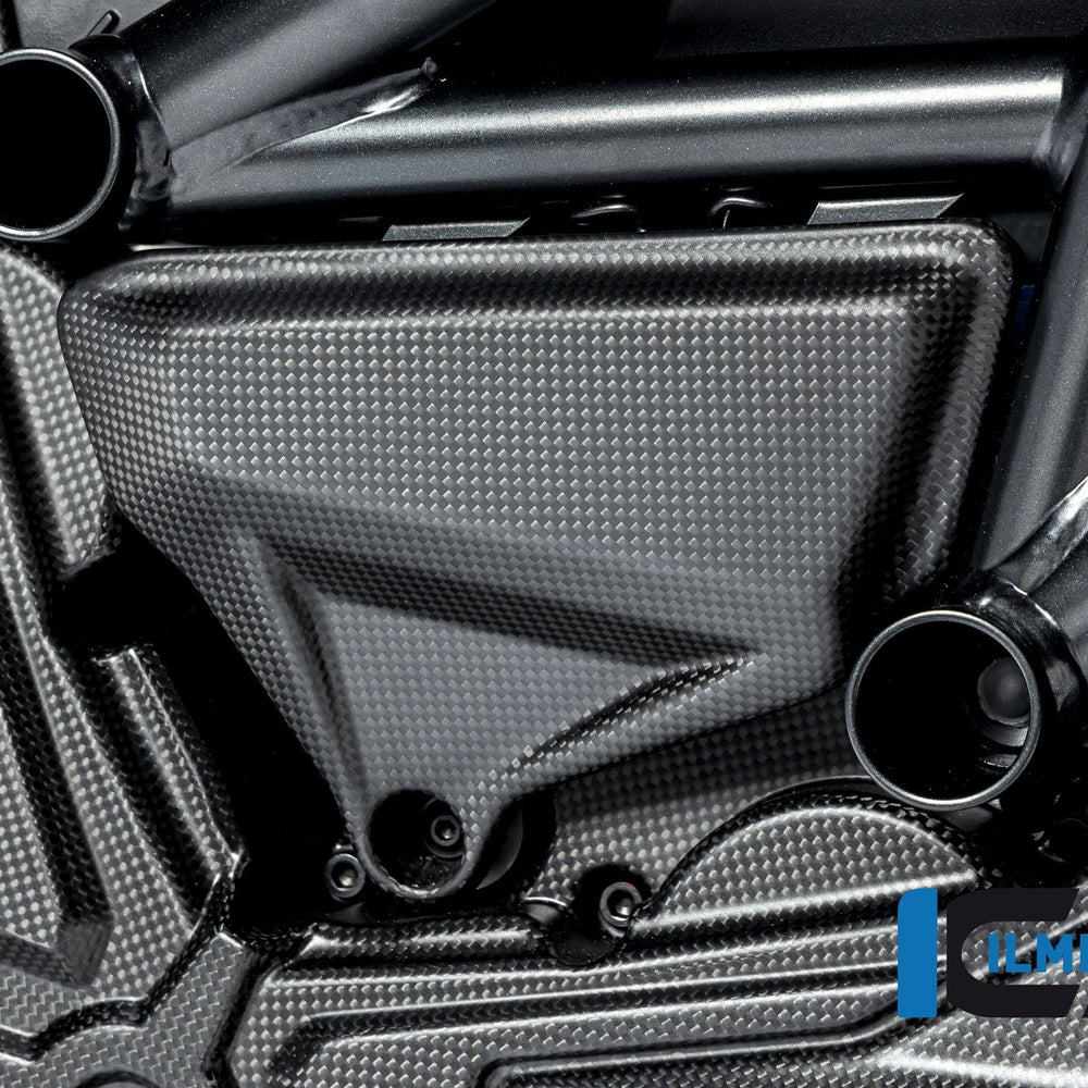 
                  
                    Cover Under The Frame Right Matt Ducati Diavel Carbon (2011-2018)
                  
                