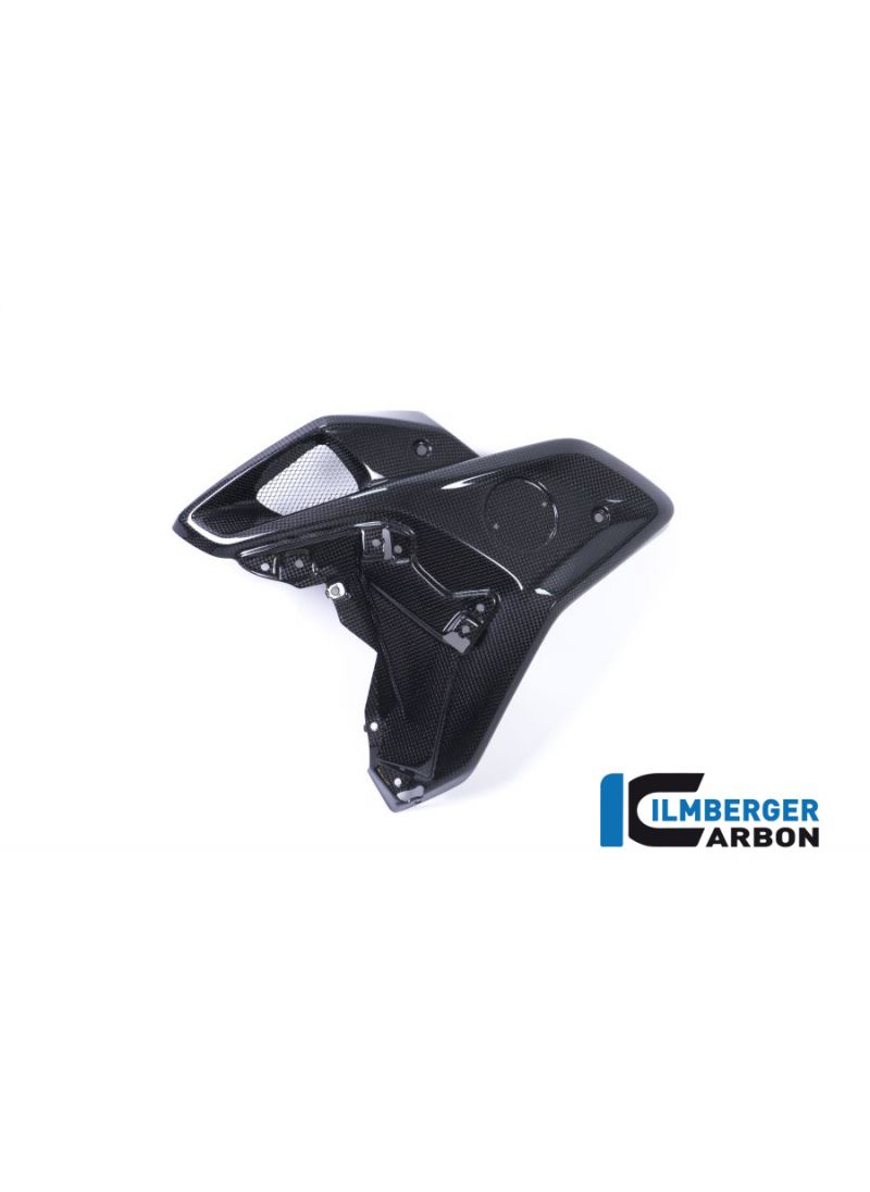 Air Deflector left carbon BMW R1200GS LC 2017+