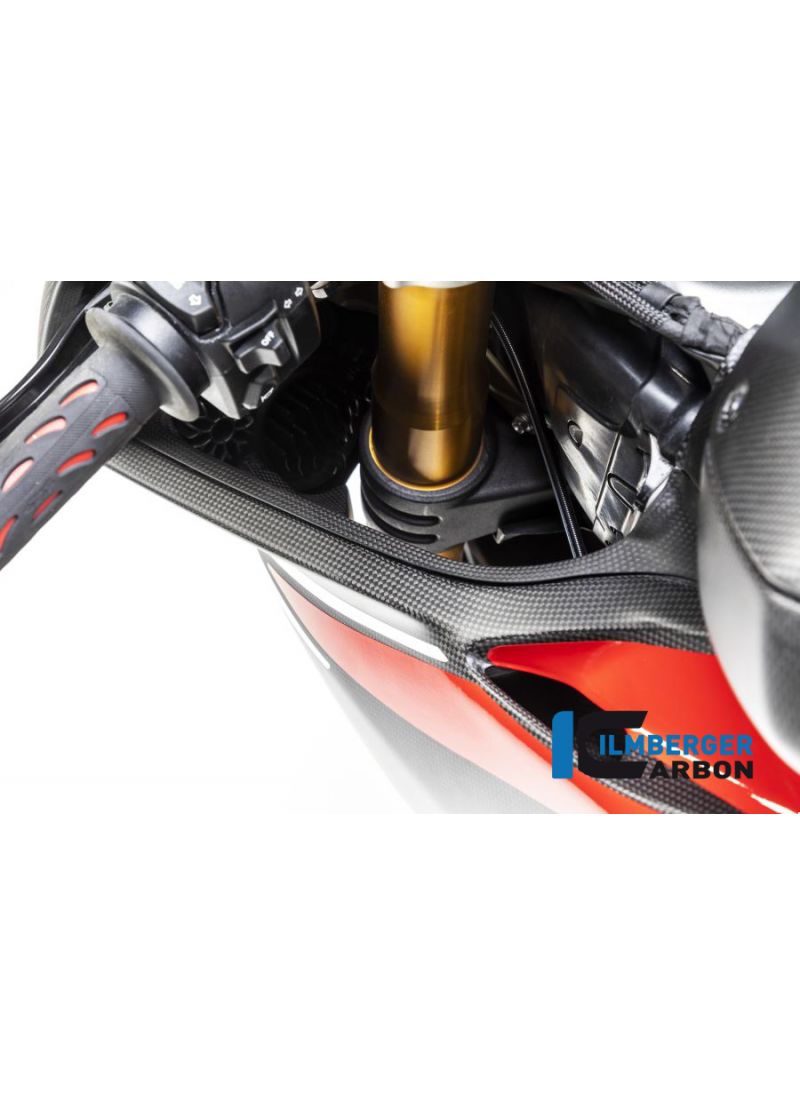 Air tube cover left matt Panigale V4R