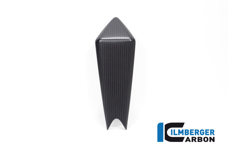 Mono seat mat carbon Aprilia RSV4 Factory (2021-2024)