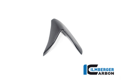 Winglet Kit links mat carbon Aprilia RSV4 (2021+)