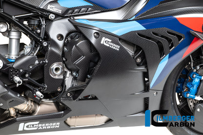 Frame beschermer (rechts) mat carbon - BMW M 1000 RR Street (2025+)