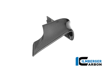 Winglet links glanzend carbon BMW M 1000 RR Street (2025+)