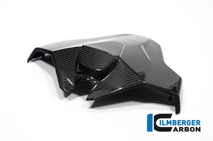 Monoposto siège unité de carbone brillant M1000RR 2023+ BMW M 1000 RR (2023+)