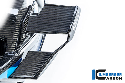 Winglet links glanzend carbon BMW M 1000 R (2025+)