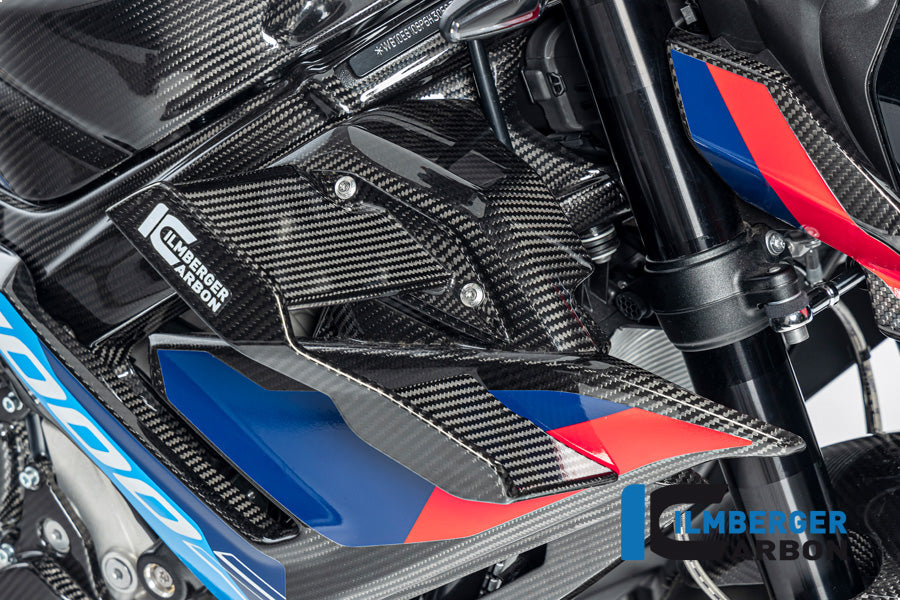 Winglet rechts glanzend carbon BMW M 1000 R (2023-2024)