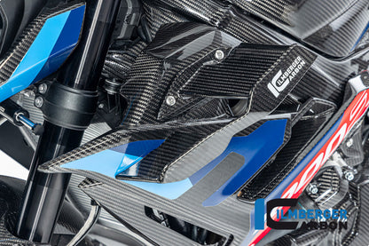 Winglet links glanzend carbon BMW M 1000 R (2025+)