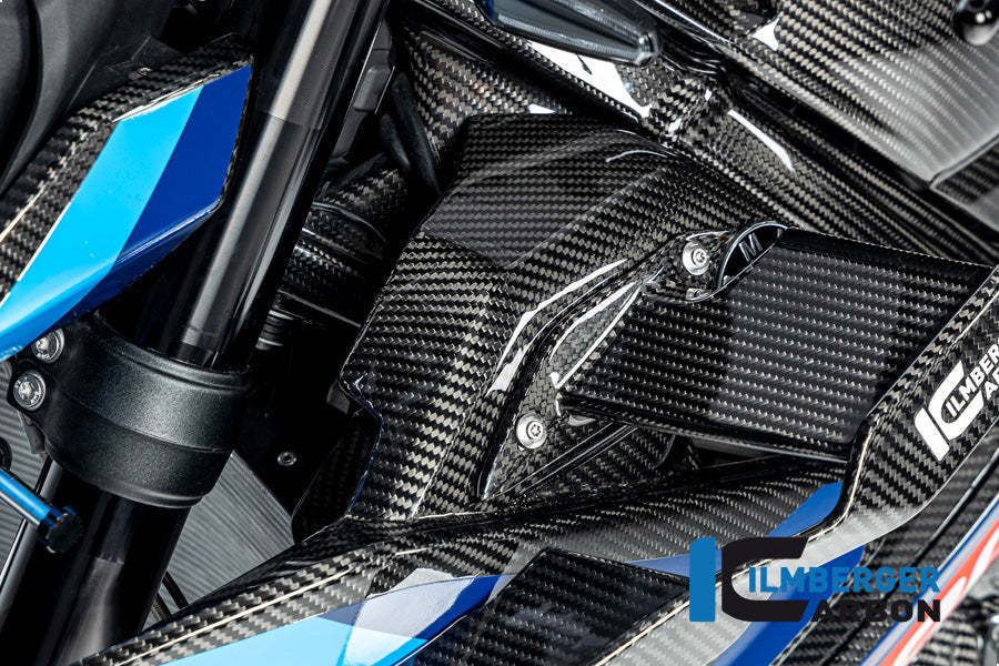 Radiator Cover links glanzend carbon BMW M 1000 R (2025+)