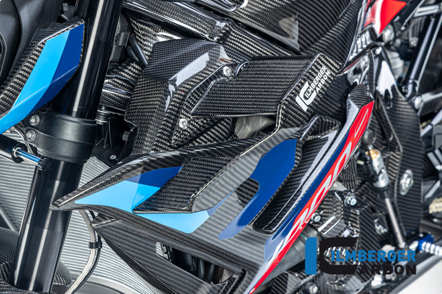 Winglet links glanzend carbon BMW M 1000 R (2023-2024)