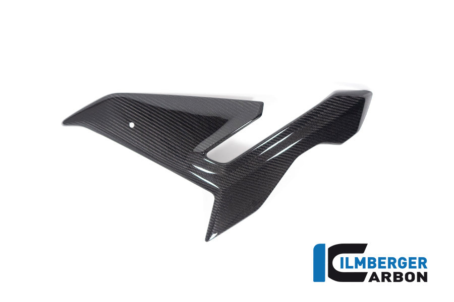 Zijkuip middepannel links (Street) glanzend carbon BMW M 1000 R (2023-2024)