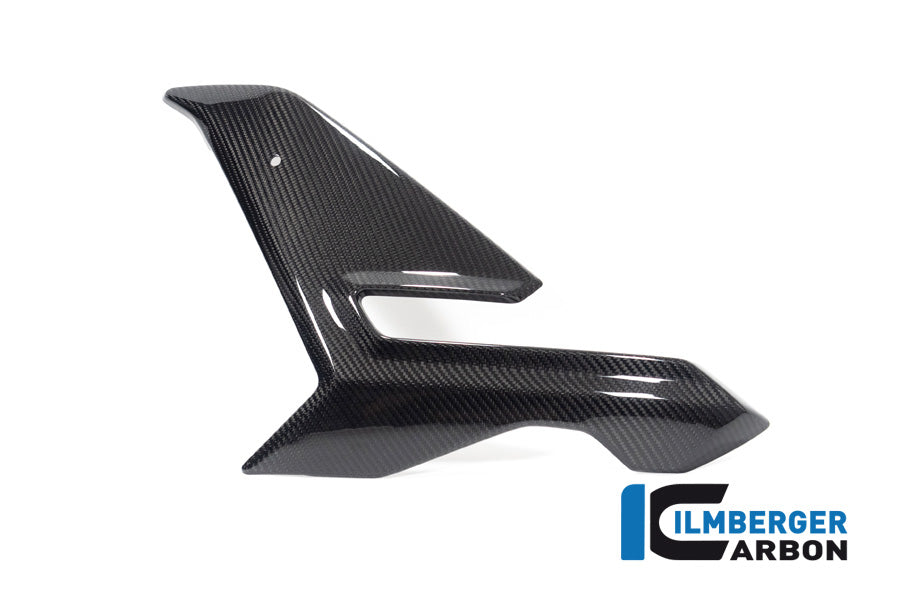 Zijkuip middepannel links (Street) glanzend carbon BMW M 1000 R (2025+)