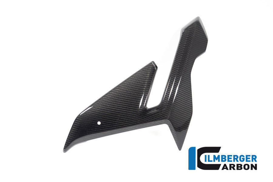 Zijkuip middepannel links (Street) glanzend carbon BMW M 1000 R (2025+)