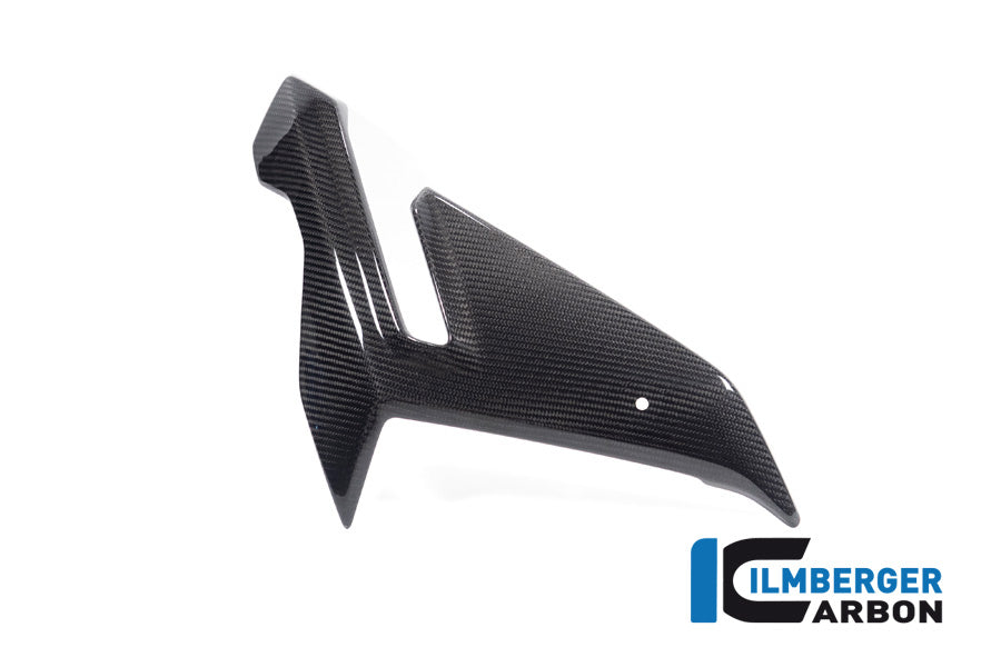 Zijkuip middepannel rechts (Street) glanzend carbon BMW M 1000 R (2023-2024)