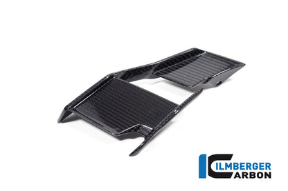 Winglet links glanzend carbon BMW M 1000 R (2025+)