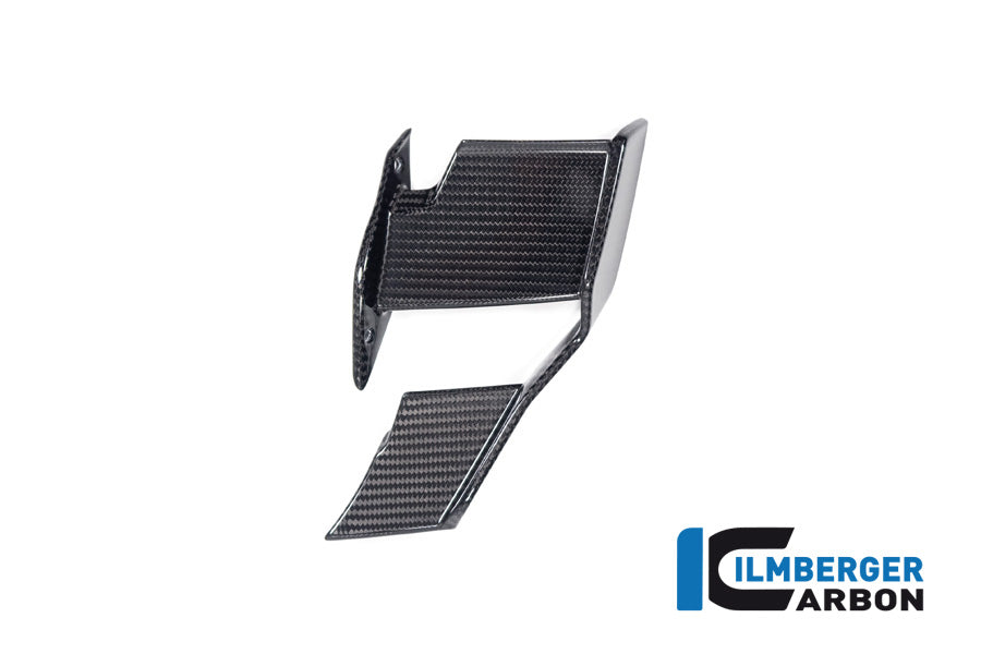 Winglet links glanzend carbon BMW M 1000 R (2023-2024)