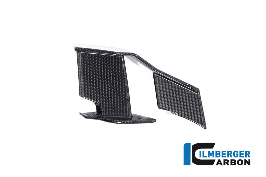 Winglet links glanzend carbon BMW M 1000 R (2023-2024)