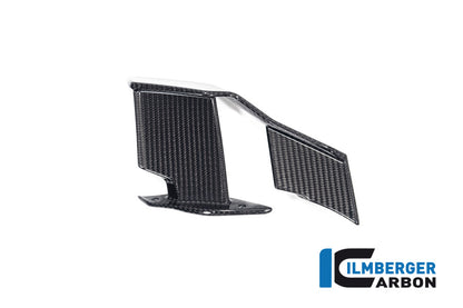 Winglet links glanzend carbon BMW M 1000 R (2023-2024)