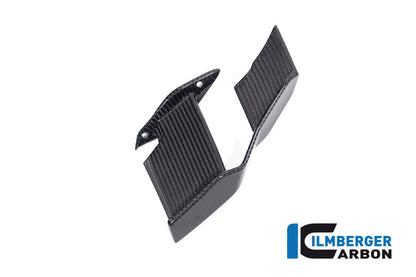 Winglet rechts glanzend carbon BMW M 1000 R (2025+)