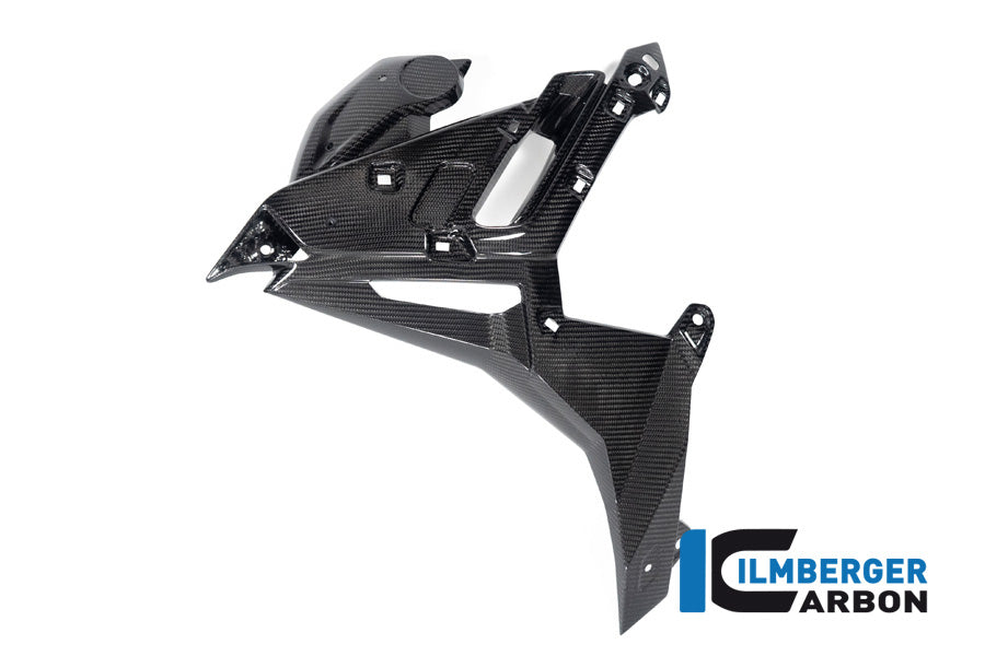 Radiator Cover links glanzend carbon BMW M 1000 R (2023-2024)