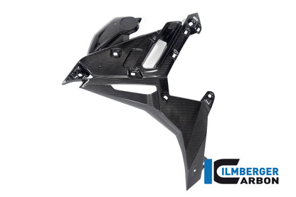 Radiator Cover links glanzend carbon BMW M 1000 R (2023-2024)