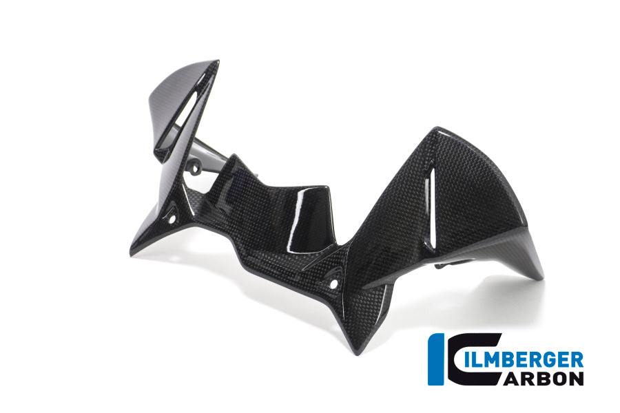Cockpit luchtgeleider carbon BMW R1200GS LC (2017-2018)