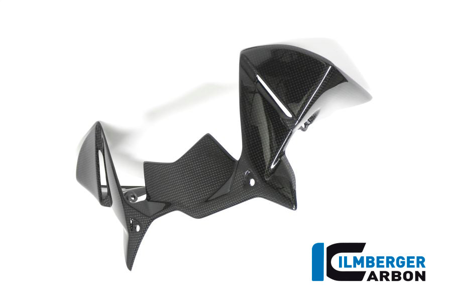 Cockpit luchtgeleider carbon BMW R1200GS LC (2017-2018)