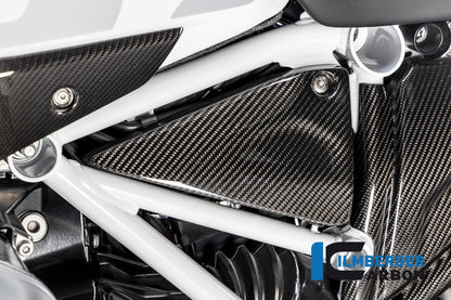 Frame driehoek-cover links carbon BMW R1250GS (2019-2023)