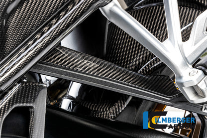 Remleiding cover carbon BMW R1250GS (2019-2023)