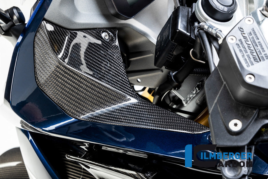 Cover near the Instruments left Side BMW R 1250 RS (2019+)