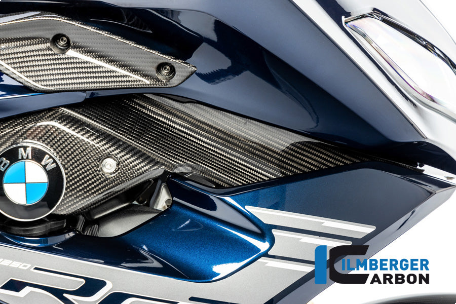 Air deflector inner panel carbon rechts BMW R1250RS (2019+)