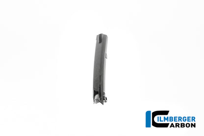 Brake Line Cover Glossy Carbon BMW R 12 Nine T 2024+